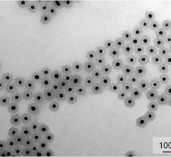 Core-Shell Silica Nanoparticles