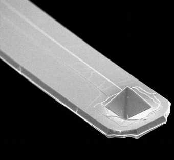 Punte per microscopia a scansione termica VertiSenseTM 