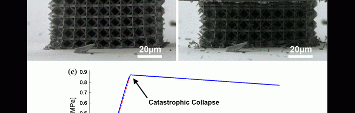 La pubblicazione che ha vinto il Premio Robert W. Cahn per il 2014