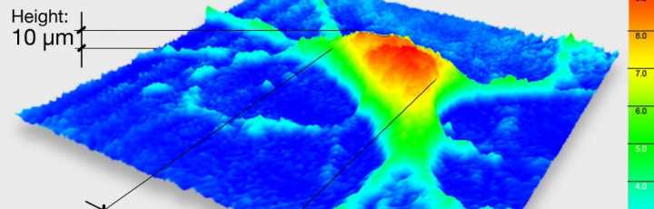 3D image of a mouse neuron taken by digital holographic microscopy. Image Credit: Lyncée