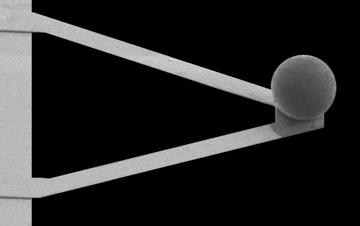 AppNano colloidal probe