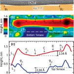 Geometry of a SWCNT adsorbed across a gap between two atomic steps on the Au(111) surface.