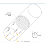 Cross Section Molecular Flow