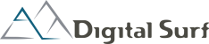 Digital Surf Logo Digital Surf Logo