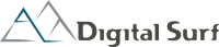 Digital Surf Logo
