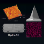 AppNano SPM/AFM Guide 2012 AppNano SPM/SFM Guide 2012