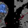Left: 3D deconvolution of nanoparticles (NPs) in a cell - NPs in red - nuclear structure in blue - cell structure in gray. Right: 3D deconvolution of a carbon nanotube piercing a tissue section